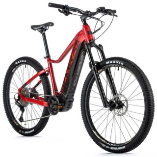 ORTON, 2022-2   /29''/
